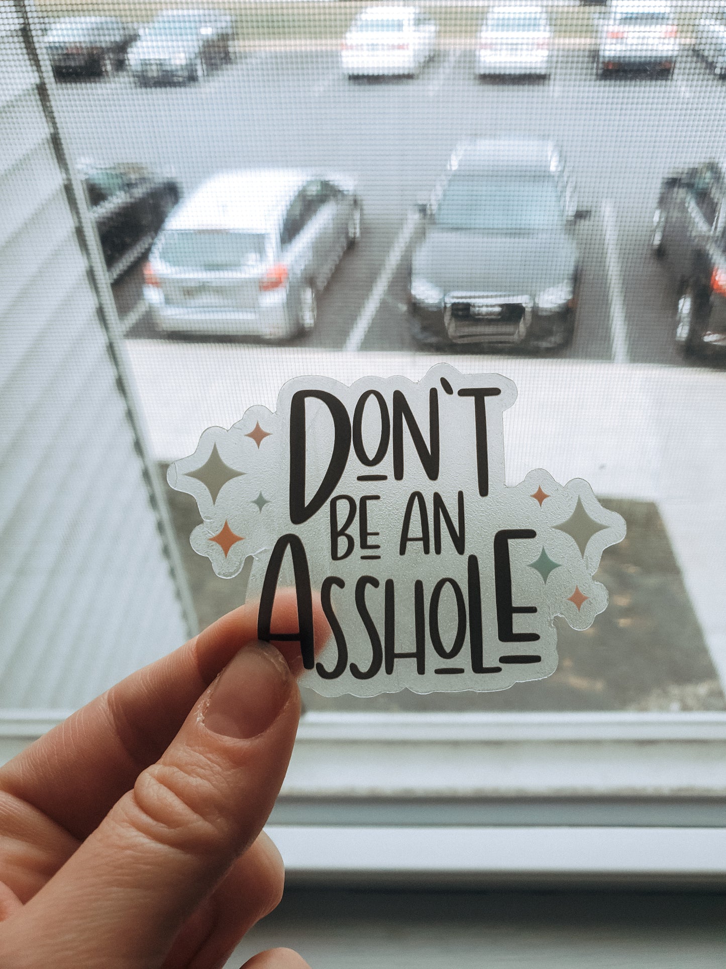 'DON'T BE AN ASSHOLE' STICKER