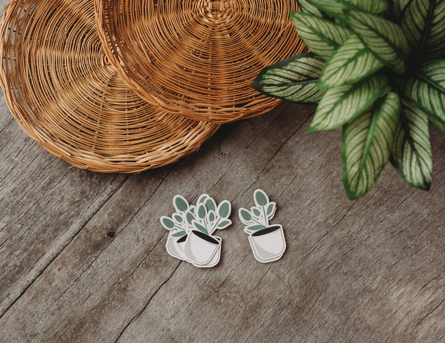 little plant sticker