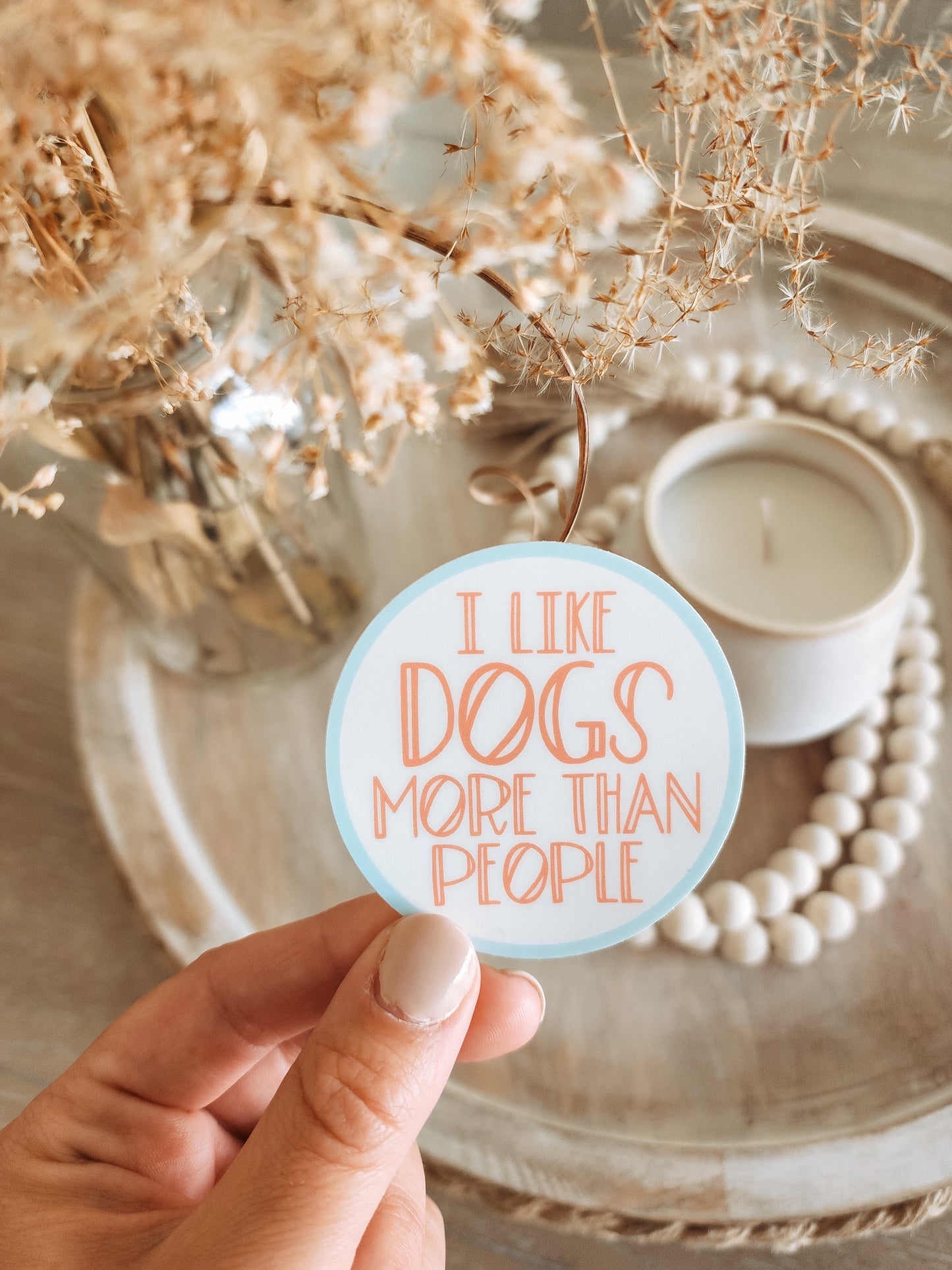 'I like dogs more than people' sticker